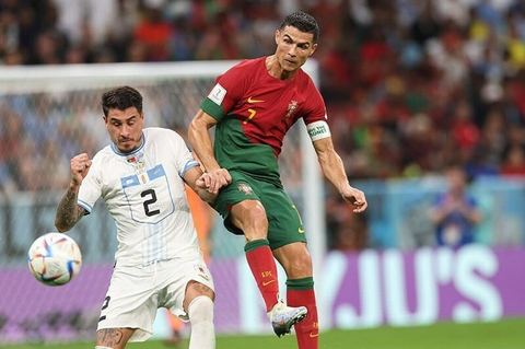 LEYU乐鱼 · 平台概览配图